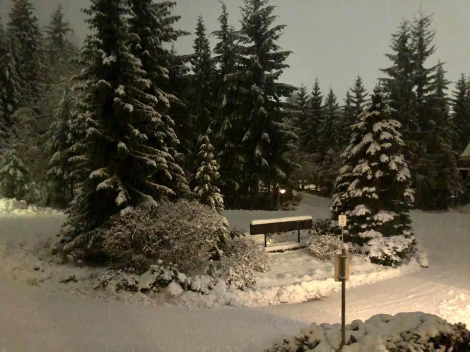 Powderhorn By Whistler Blackcomb Vacation Rentals المظهر الخارجي الصورة
